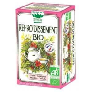 romon nature tisane refroidissement thym eucalyptus menthe et cannelle sachets bio 20u.jpg