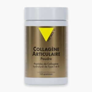 vitall collagene articulaire en poudre type 1 2 120g destockage.jpg
