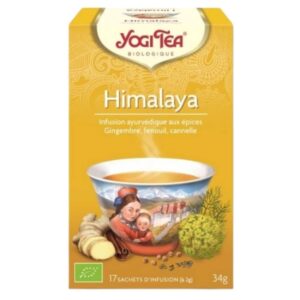 yogi tea himalaya infusion gingembre fenouil et cannelle sachets bio 17u.jpg